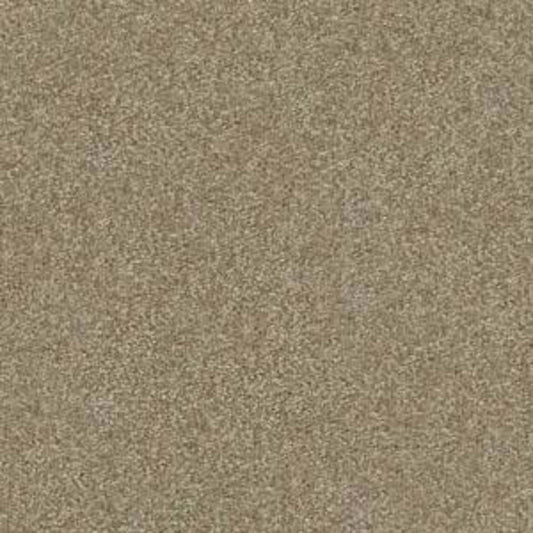 Shingle Creek III 12' in Chinchilla Carpet