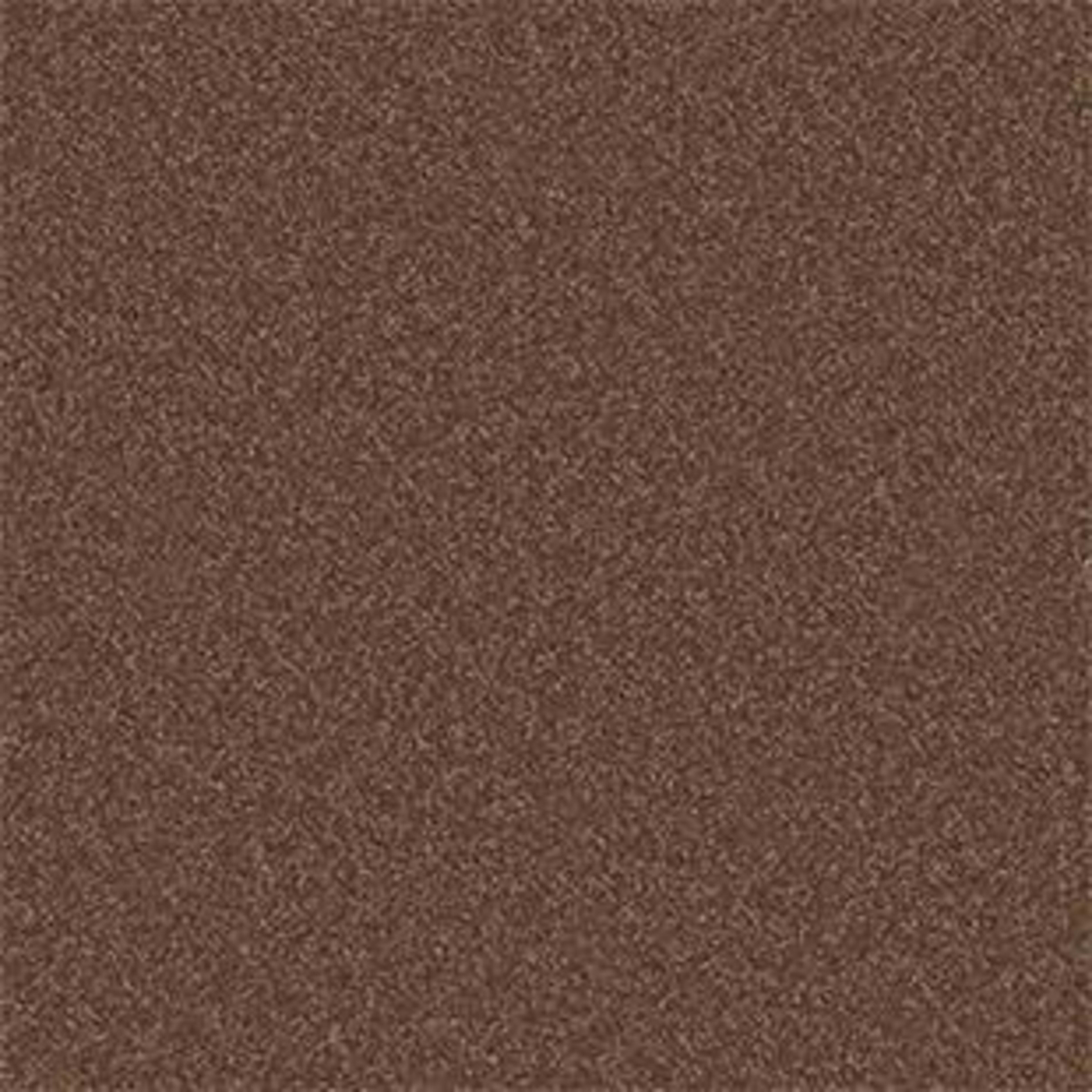 Shingle Creek IV 12' in Wooden Box Carpet