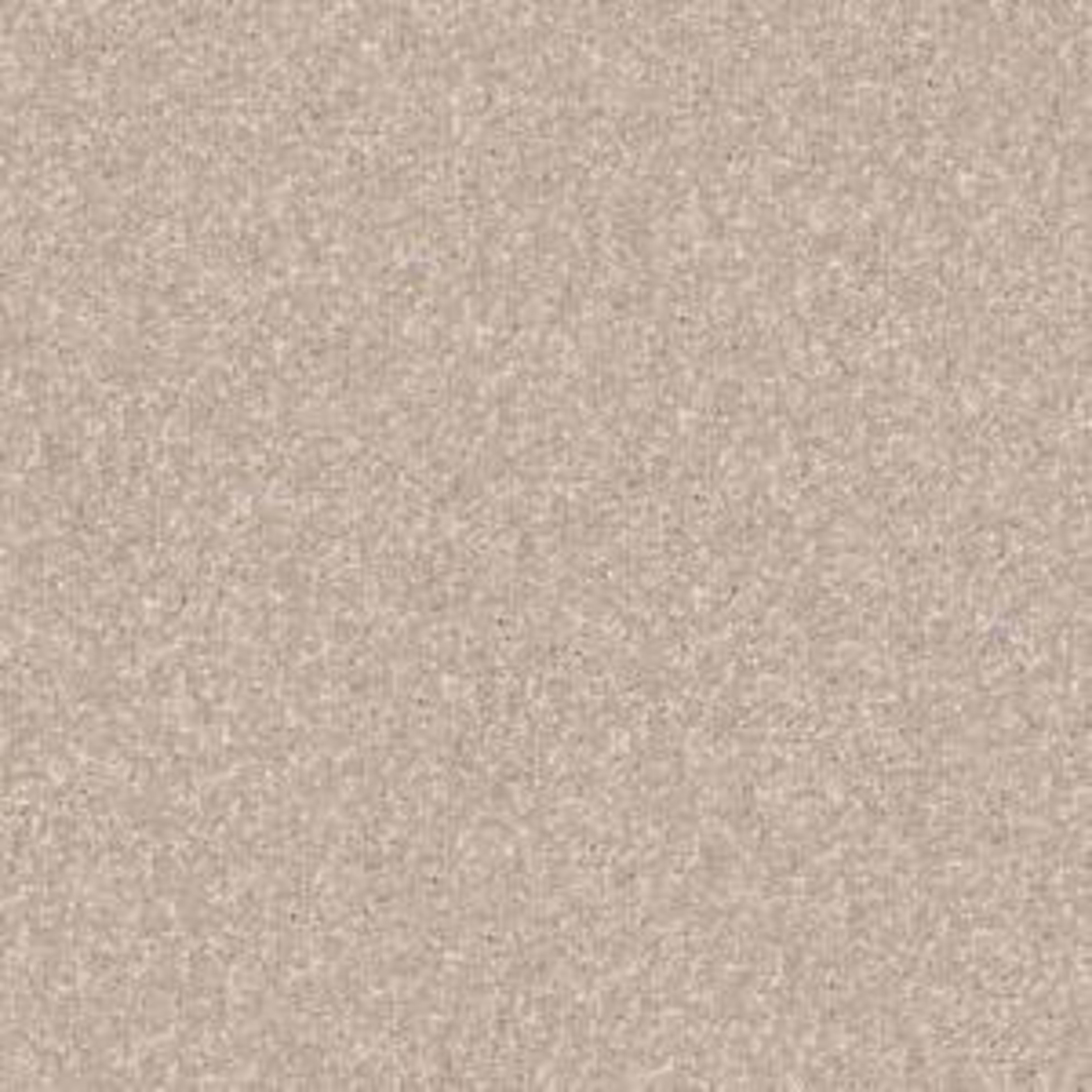 Look Forward in French Canvas Carpet