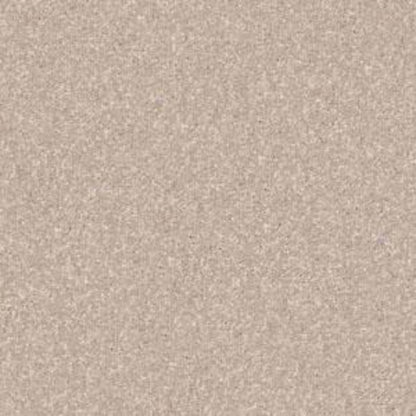 Look Forward in French Canvas Carpet