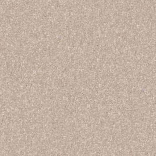 Look Forward in French Canvas Carpet