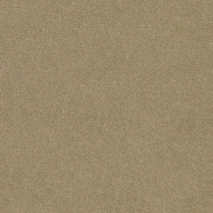 SOURCE II