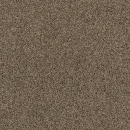 SOURCE II