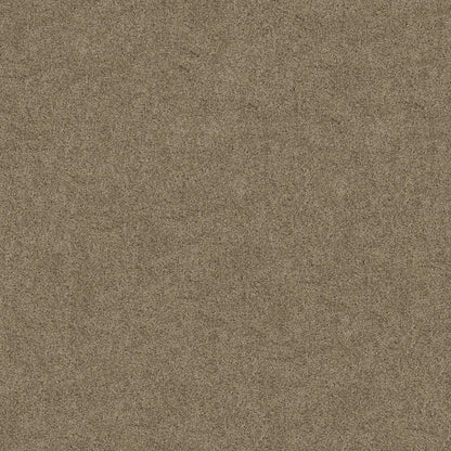 SOURCE II