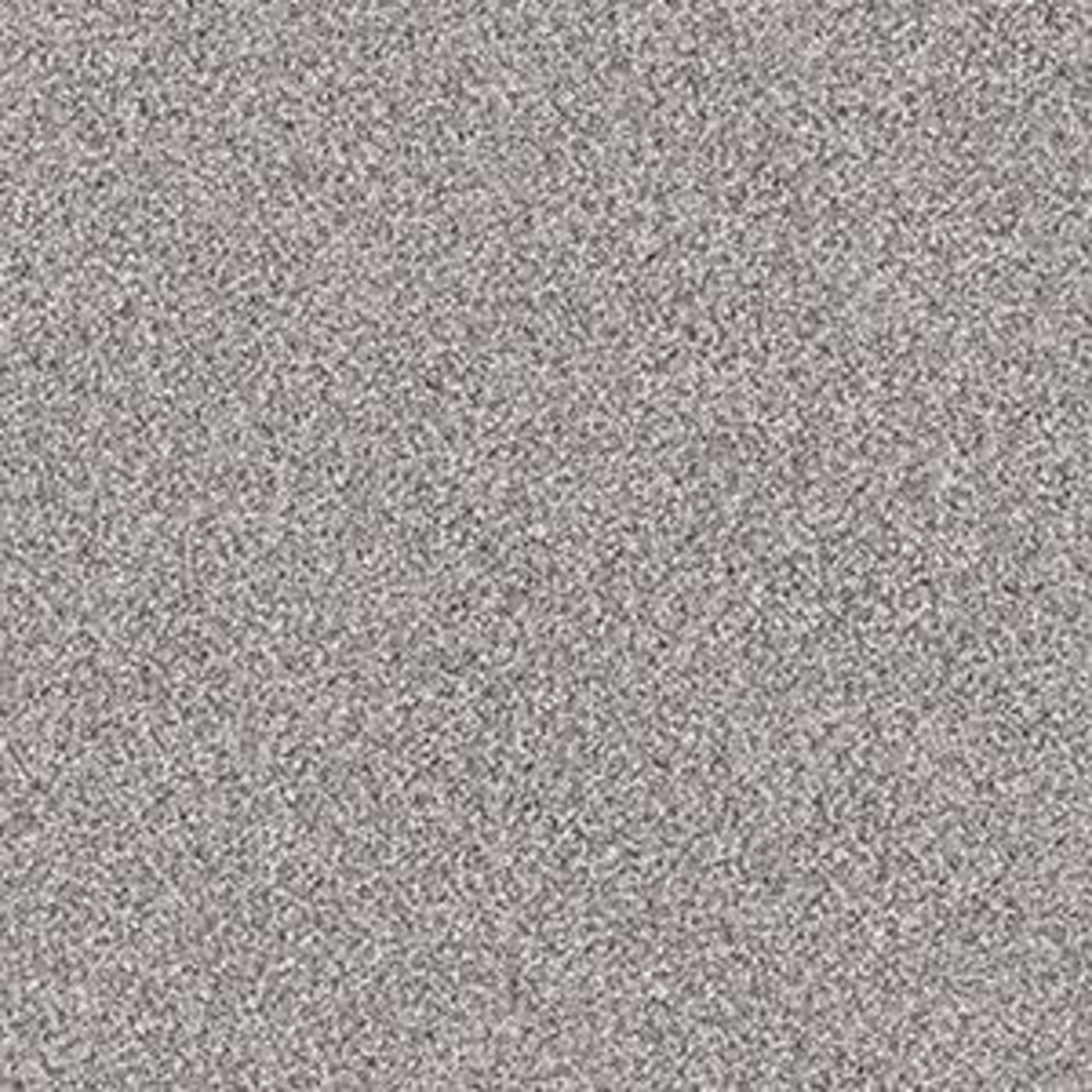 EXPLORATION in Castle Stone Carpet