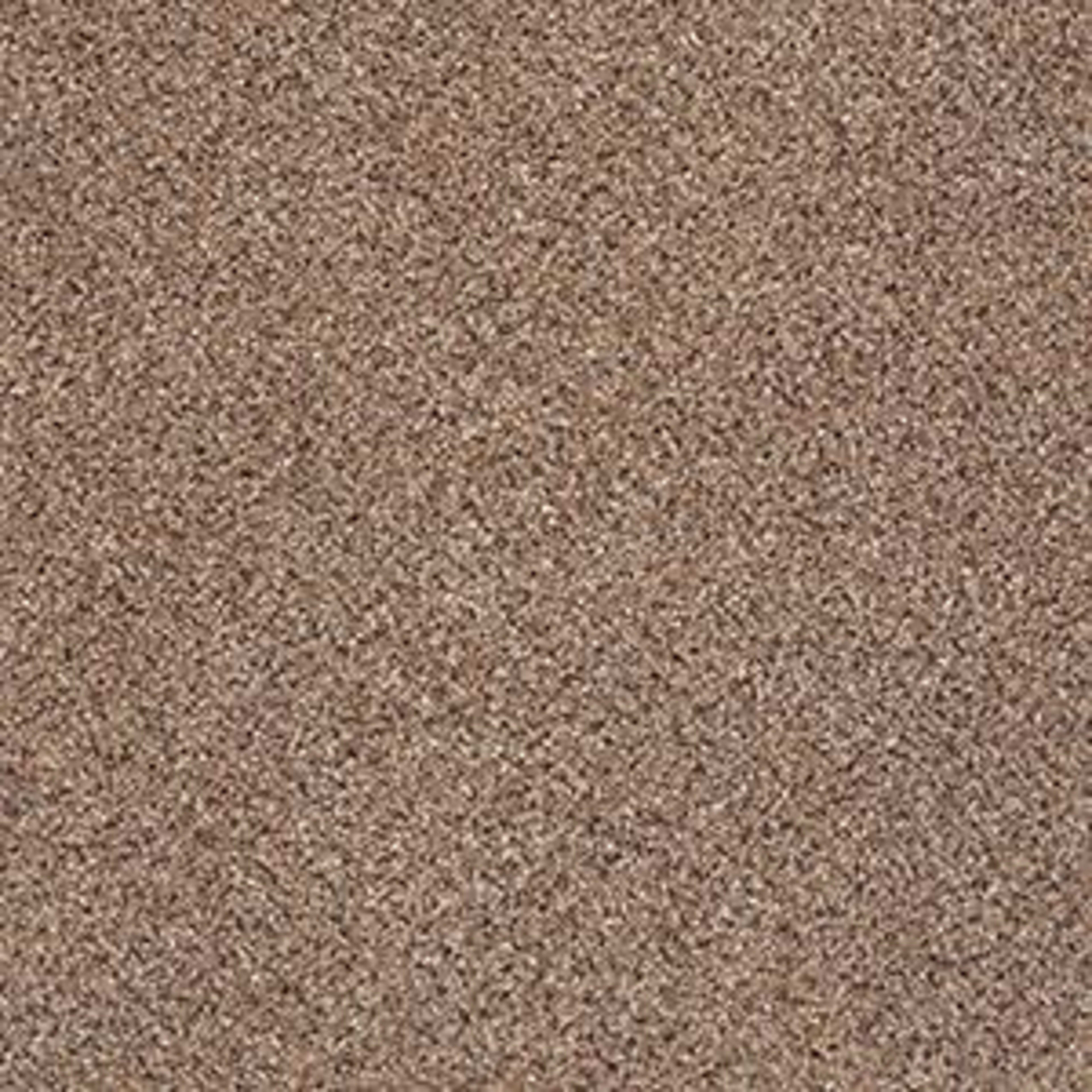 PLATINUM TEXTURE ACCENTS in Pegasus Carpet