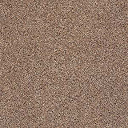 PLATINUM TEXTURE ACCENTS in Pegasus Carpet