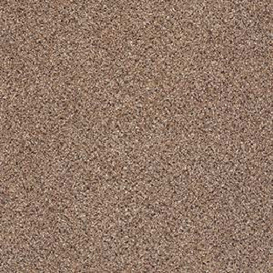 PLATINUM TEXTURE ACCENTS in Pegasus Carpet