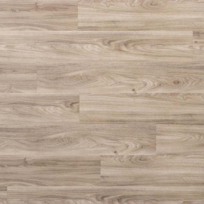 Amplitude in Tom  Luxury Vinyl