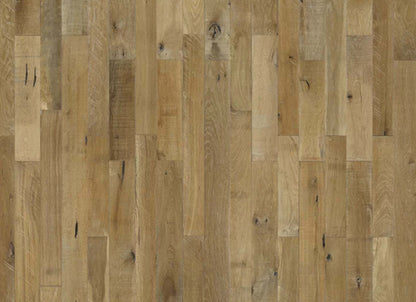 Organic Solid Collection in Fennel Oak