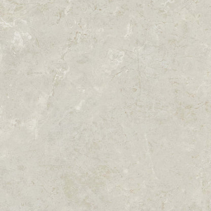 Florentine in Argento 12x24 Tile