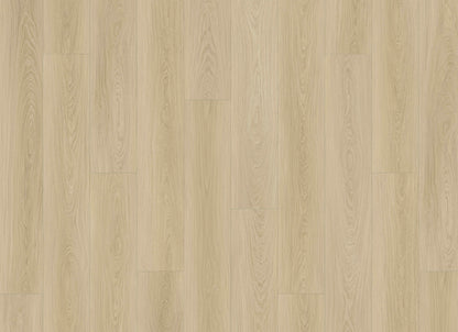 Courtier in Ghent Oak