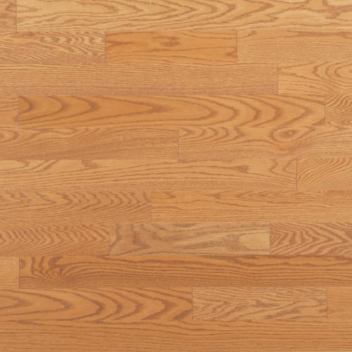 Admiration Engineered - Red Oak in Golden - 4 1/4" Smooth