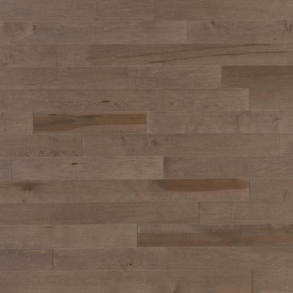 Admiration Engineered - Maple in Greystone - 3 1/4" Smooth Hardwood