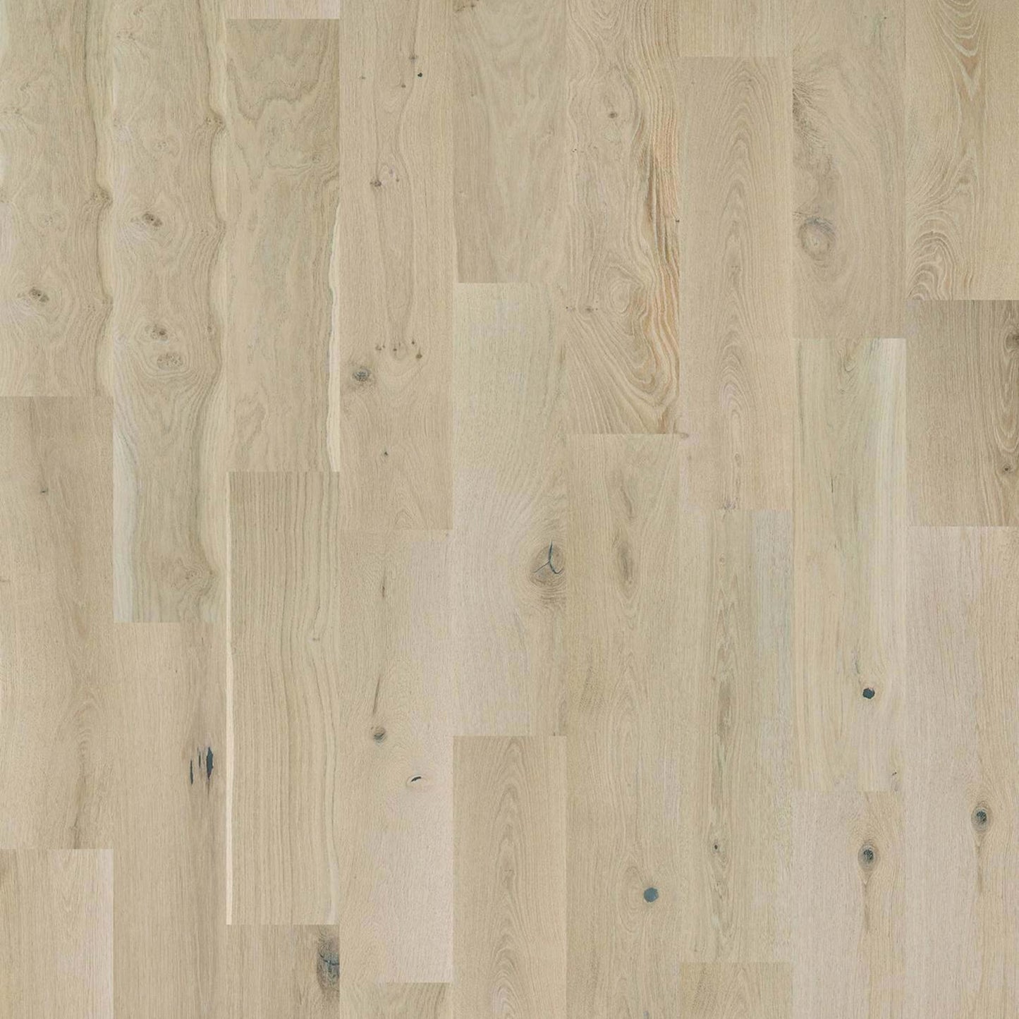 Kingston Oak in Renaissance Hardwood