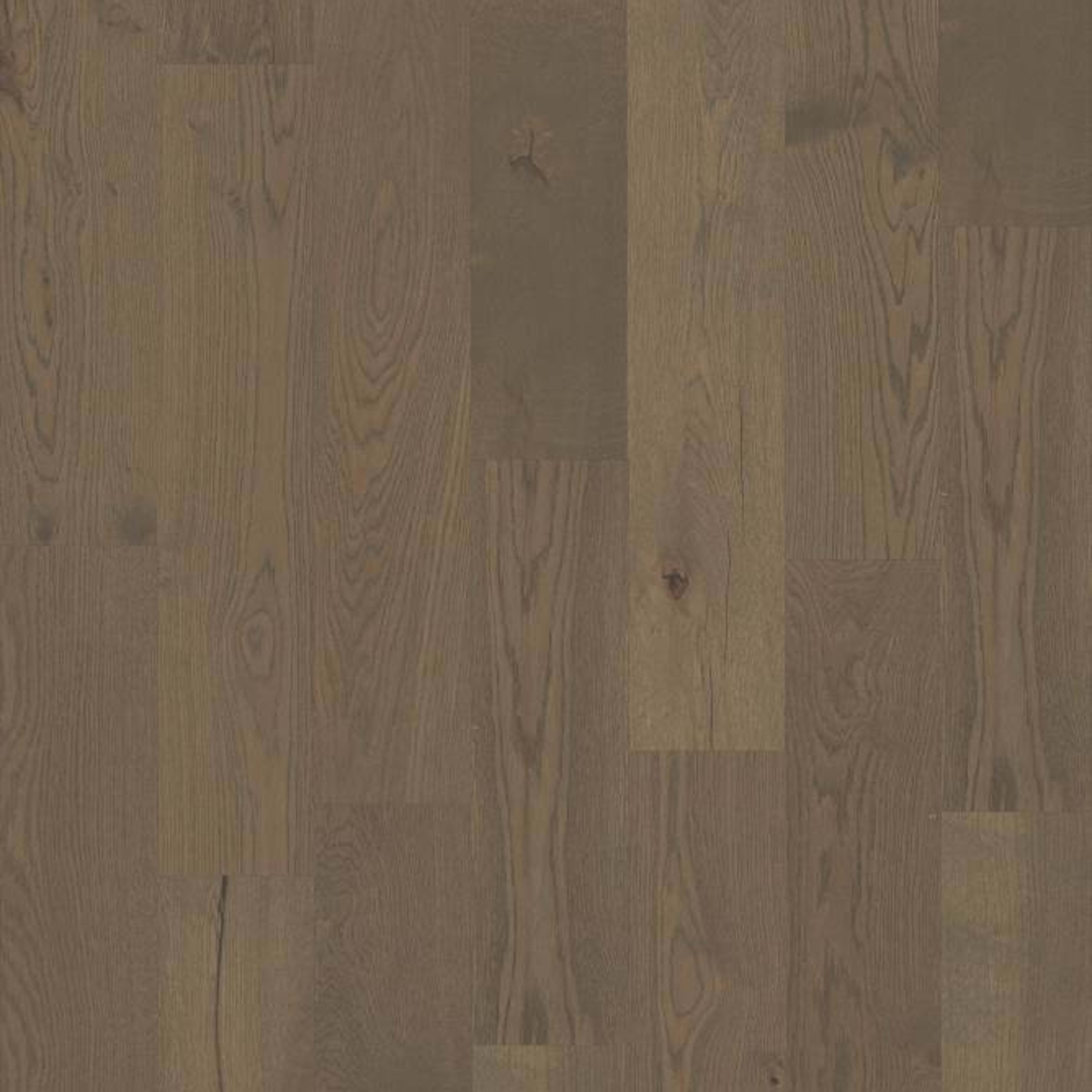 ELEGANCE OAK in Praline Hardwood