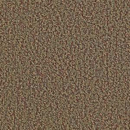 No Limits 26 in Achievement Carpet
