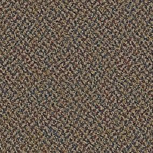 Change In Attitude Broadloom in Lighten Up Carpet