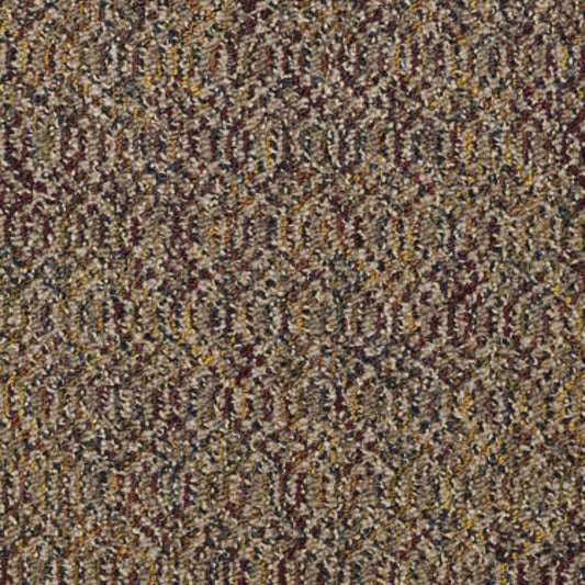 Relay in Crosstrain Carpet