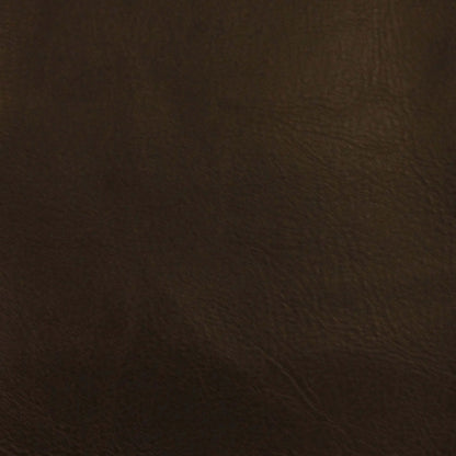 Leather Essence in Chocolate Carpet