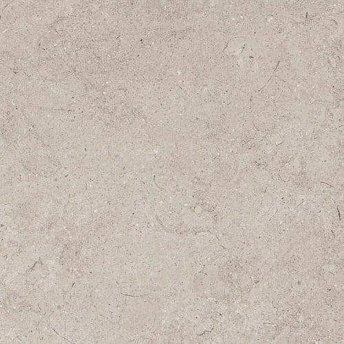 Gallery in Light Gray 12"x24" Matte