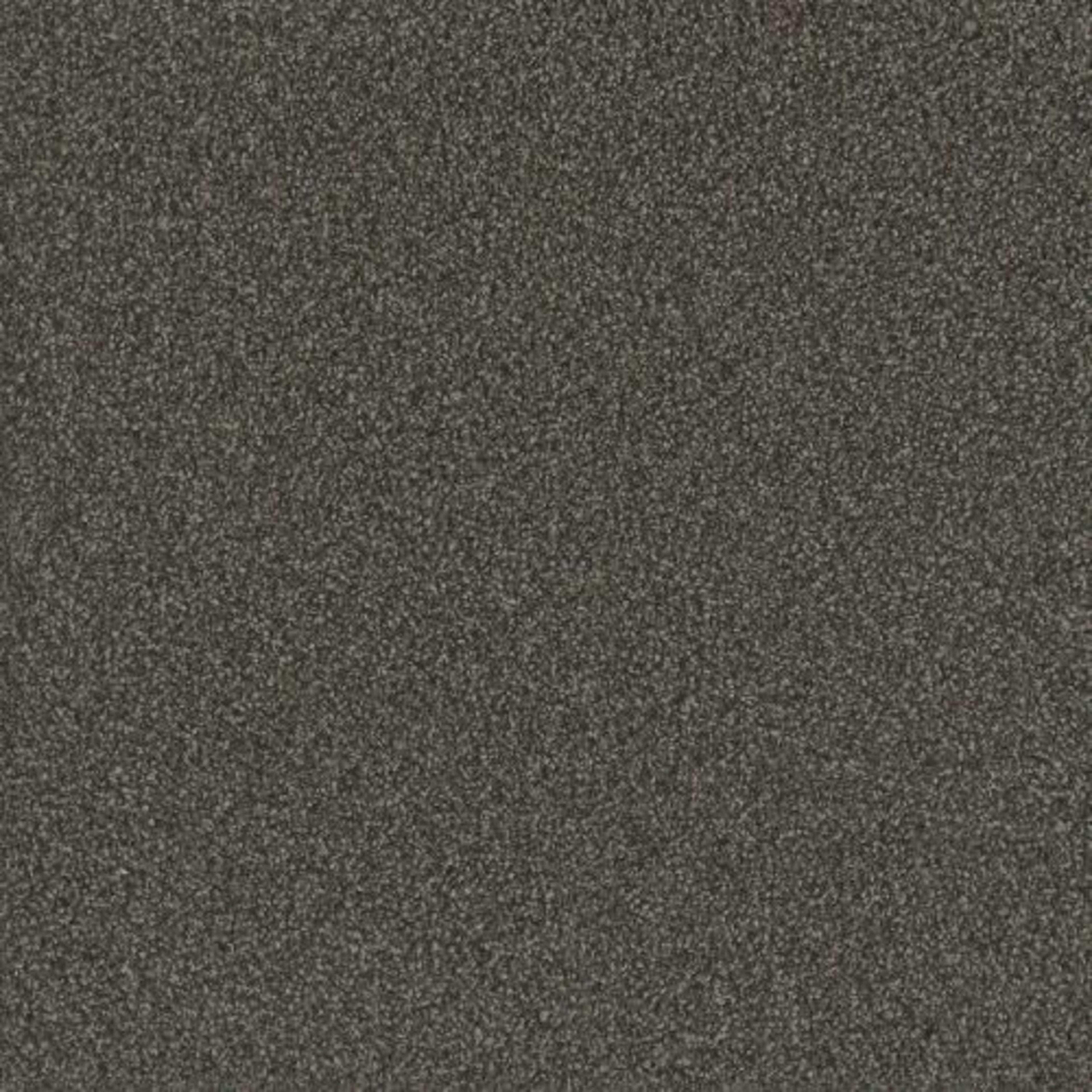 No Limits I in Magnetic Carpet