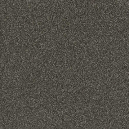 No Limits I in Magnetic Carpet