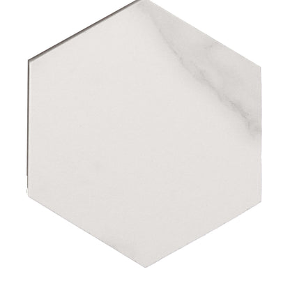 Corona Deluxe in Natural - 8" Hex Tile