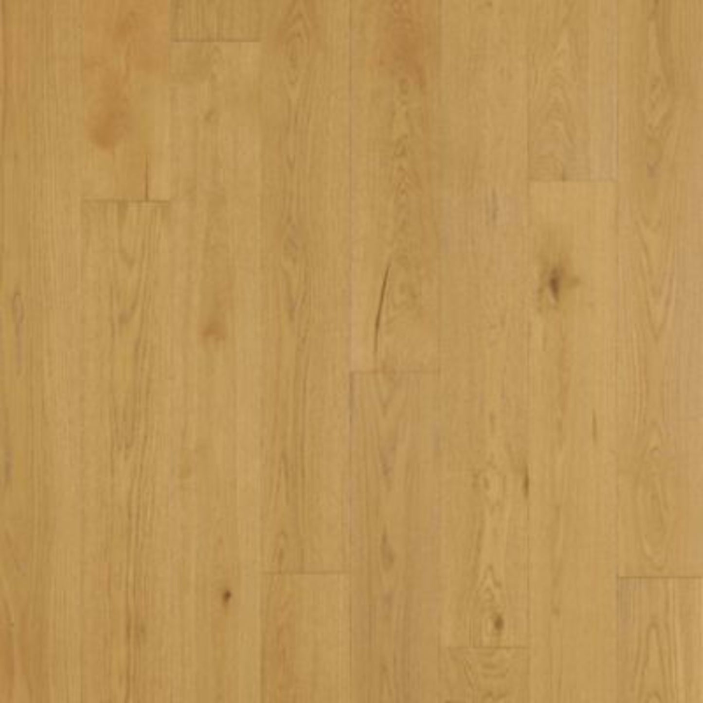 Balboa Strip in Naturale Oak Hardwood