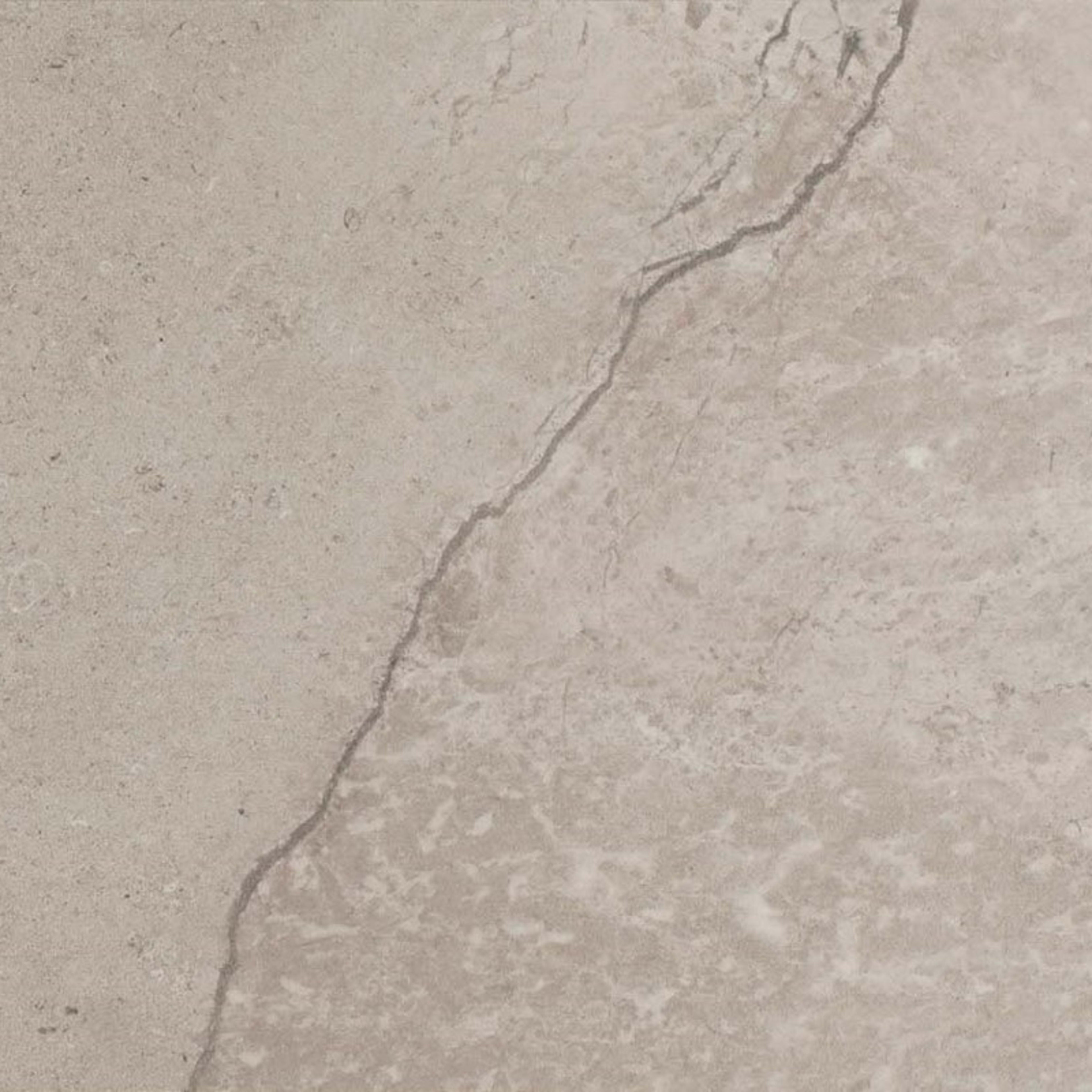 Chadwick in Light Gray 12"x24" Tile