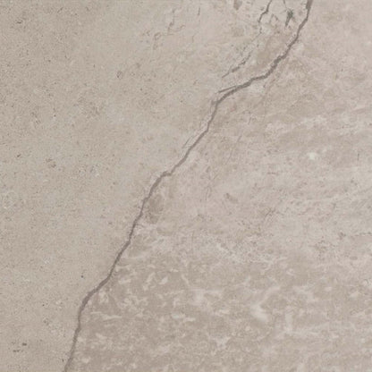 Chadwick in Light Gray 12"x24" Tile