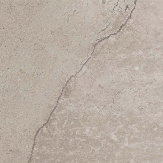 Chadwick in Light Gray 12"x24" Tile