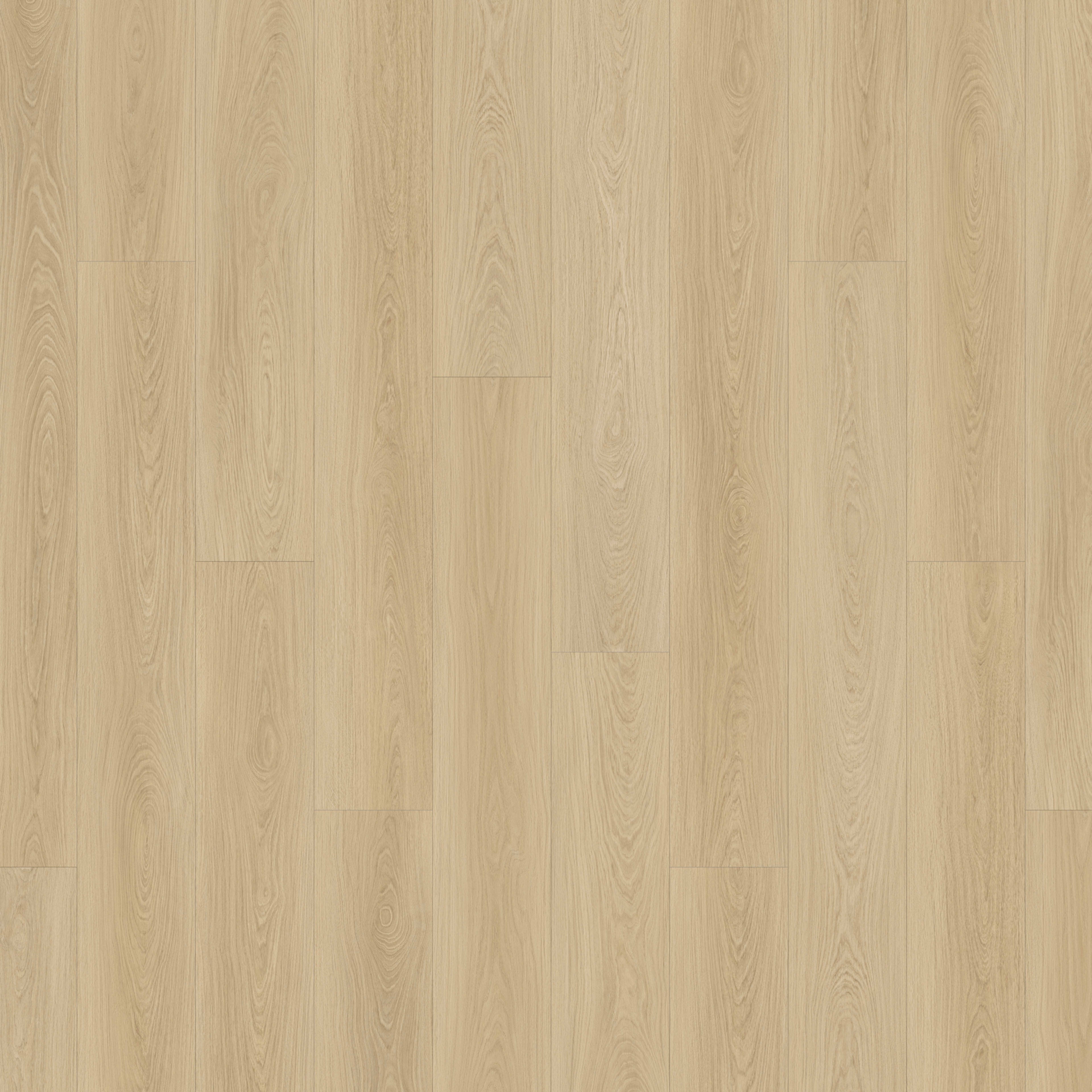 Courtier in Nightcastle Oak Luxury Vinyl