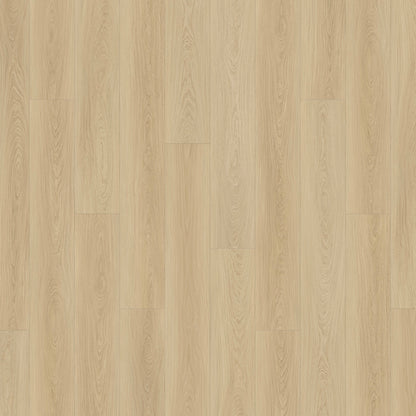 Courtier in Nightcastle Oak Luxury Vinyl