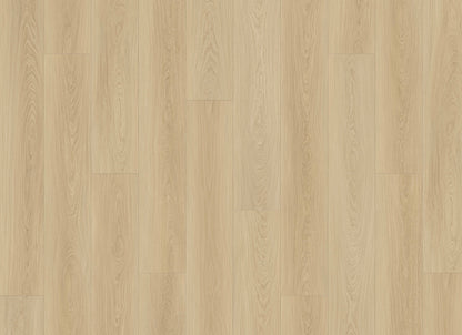 Courtier in Nightcastle Oak