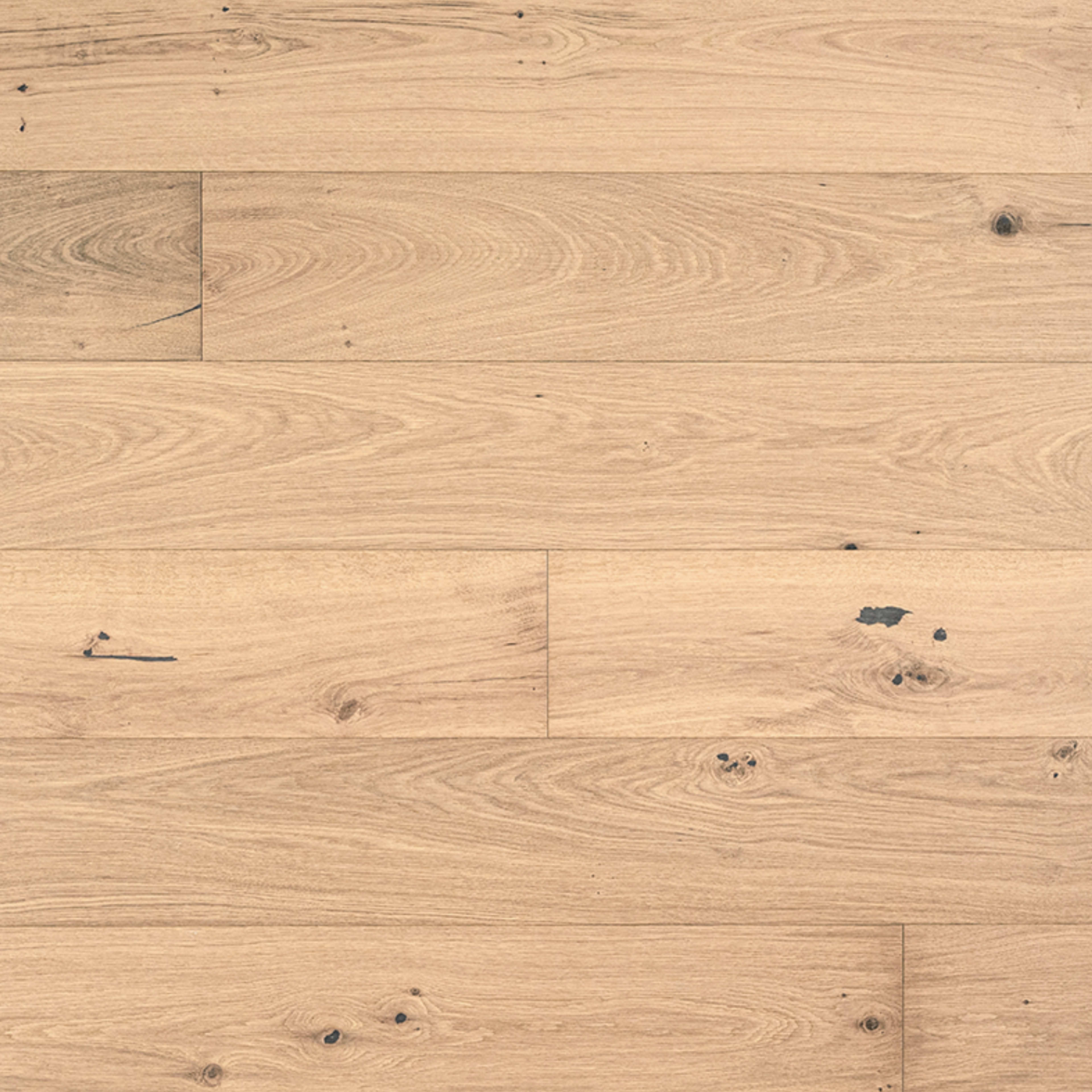 W Hardwood - McCarran in Northcutt Hardwood