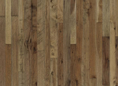 Organic Solid Collection in Nutmeg Hickory