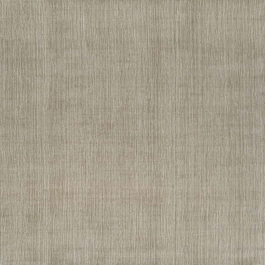 Palermo Lineage II Coconut in Coconut Area Rugs
