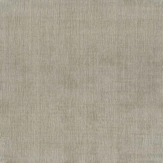 Palermo Lineage II Grey Frost in Grey Frost Area Rugs