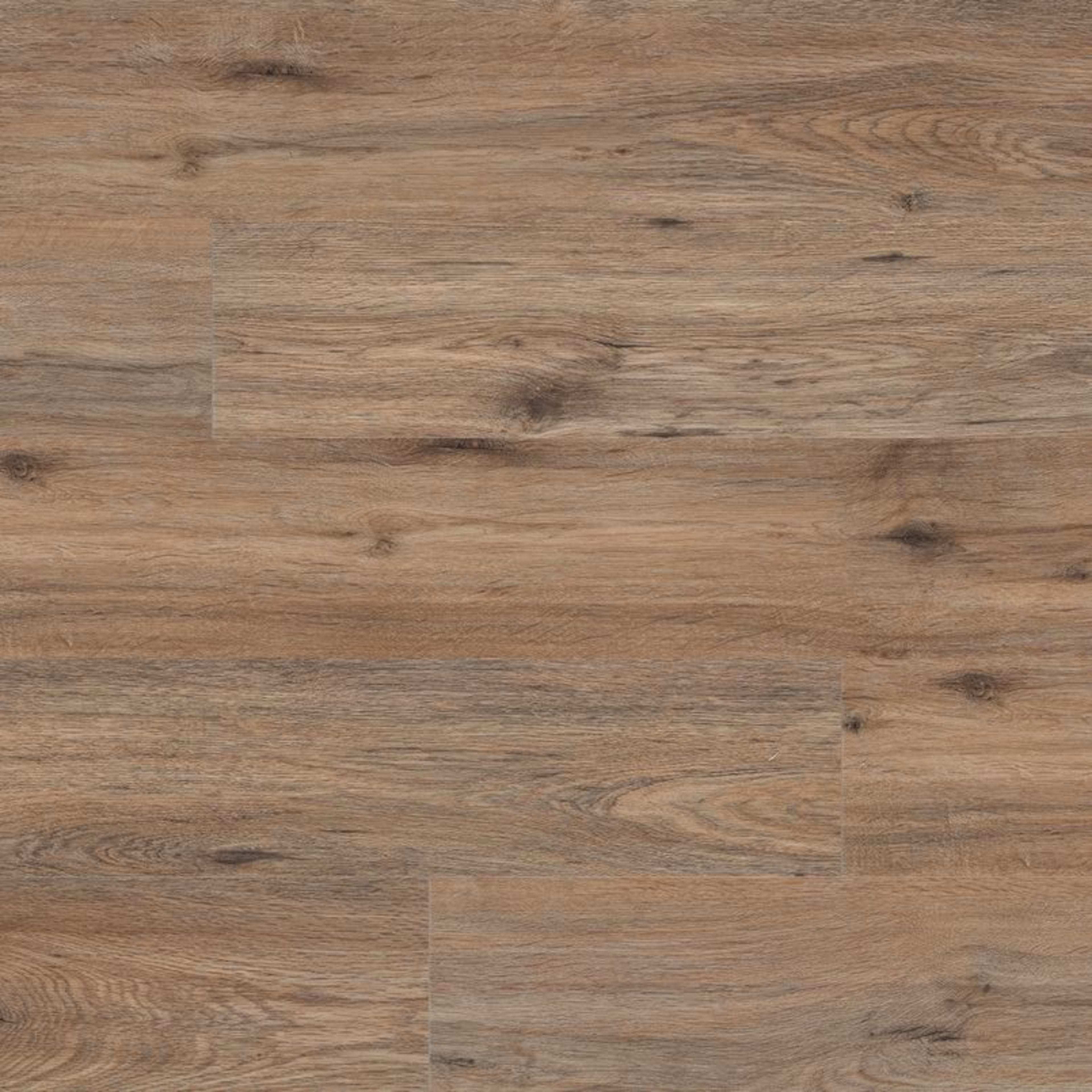 Prescott in Fauna Luxury Vinyl