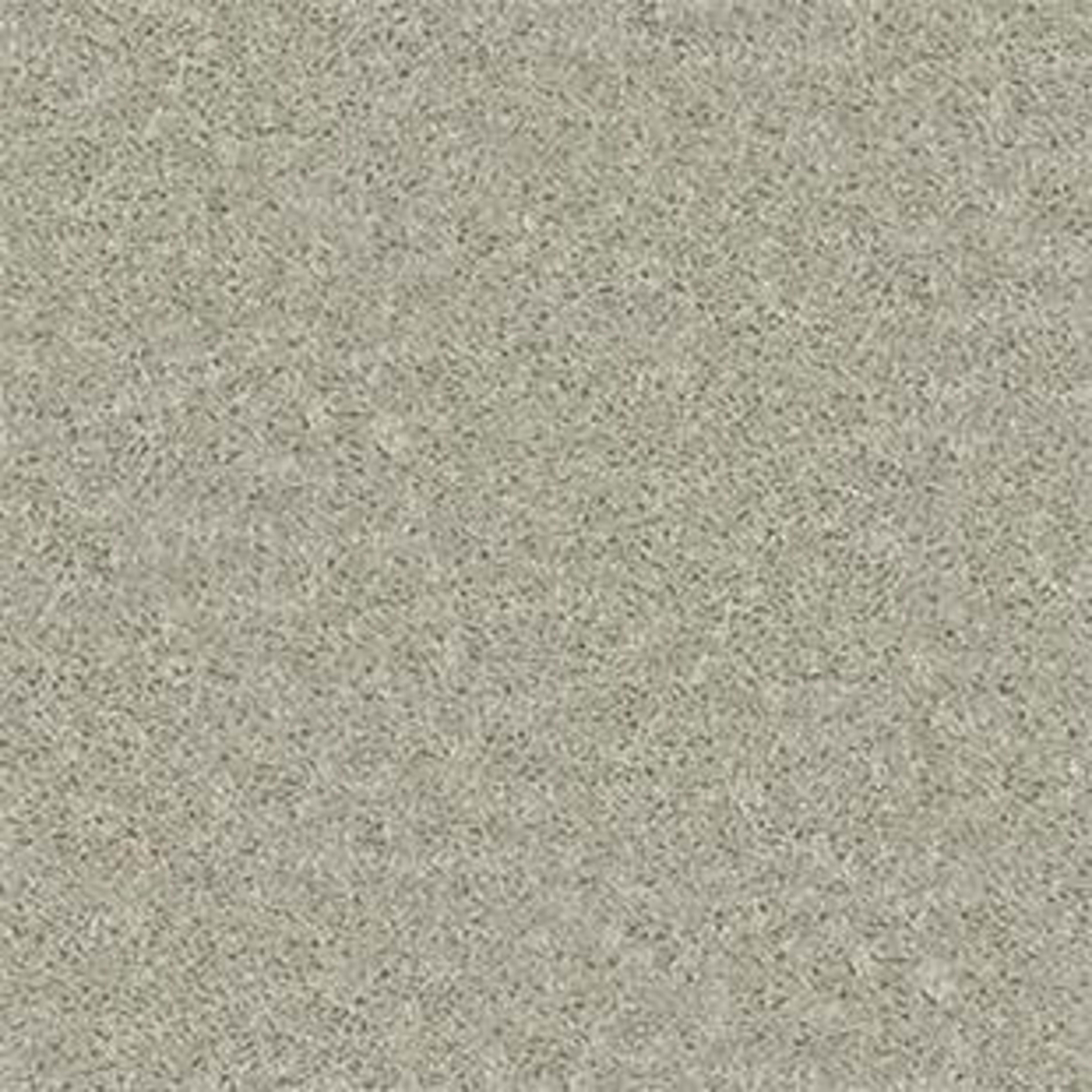 Point Guard 15' in Bare Mineral Carpet