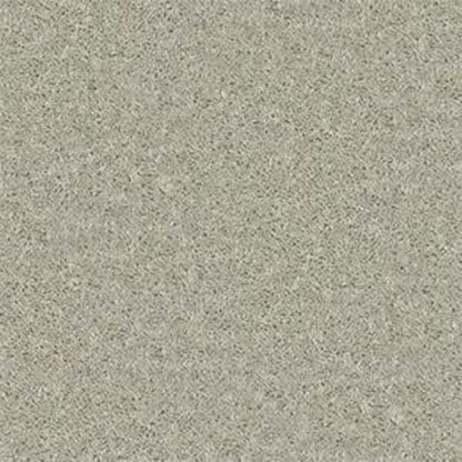Point Guard 15' in Bare Mineral Carpet