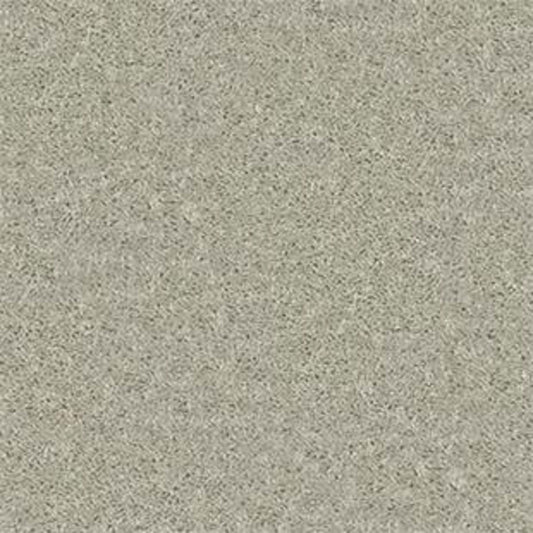Point Guard 15' in Bare Mineral Carpet