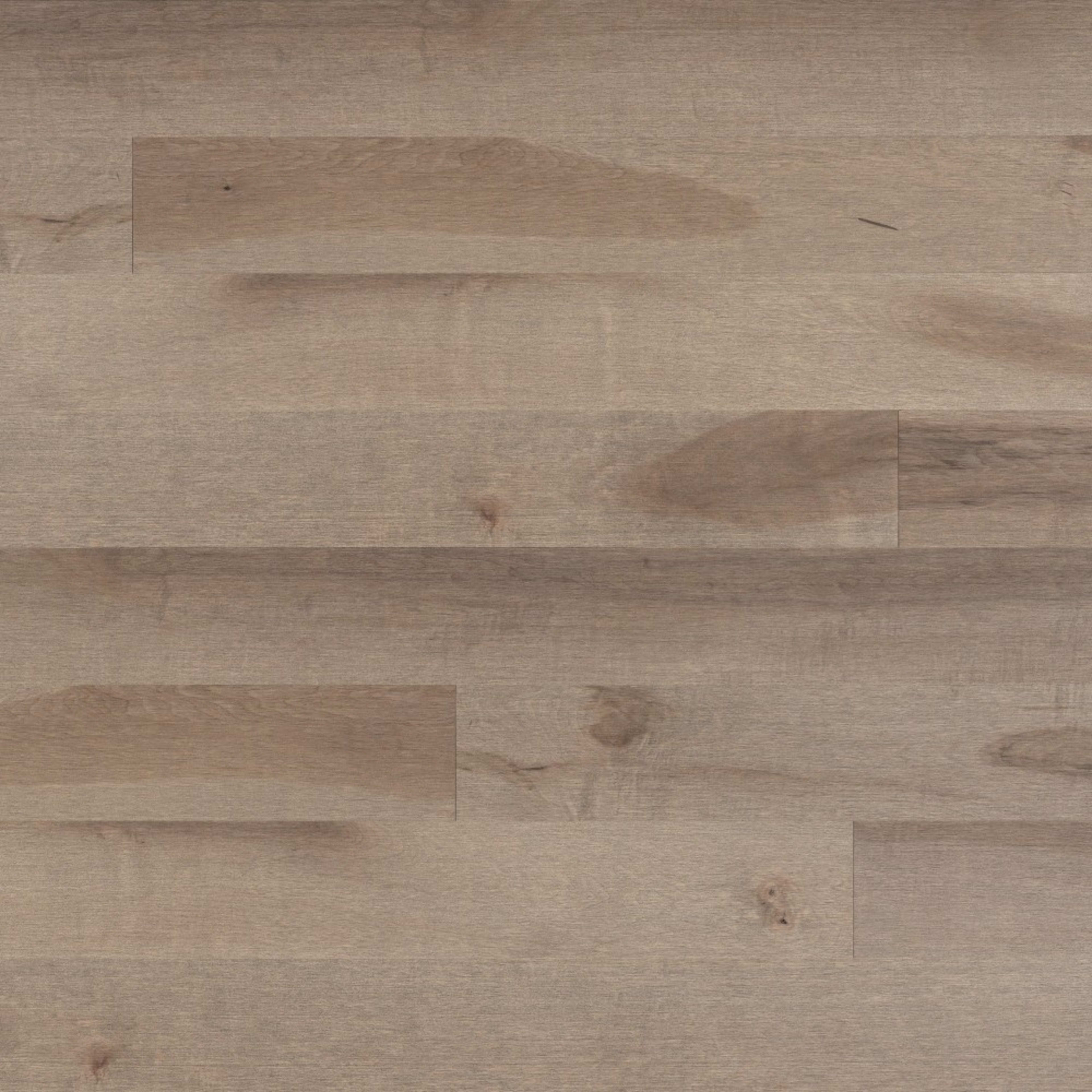 Admiration Engineered - Maple in Rio - 4 1/4" Engraved Hardwood