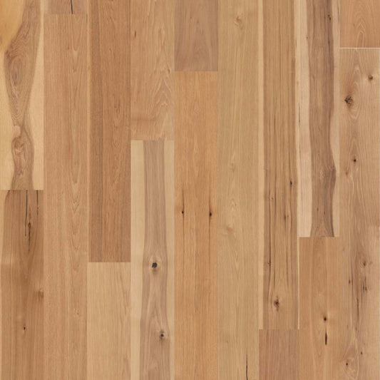 Argonne Forest Hickory in Coat Of Arms Hardwood