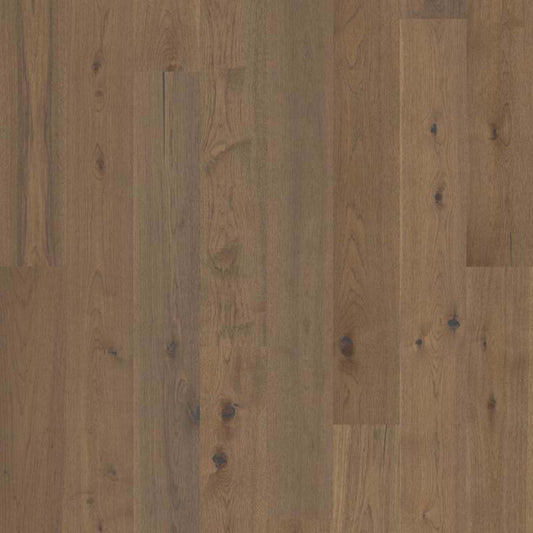 Argonne Forest Hickory in Romanesque Hardwood