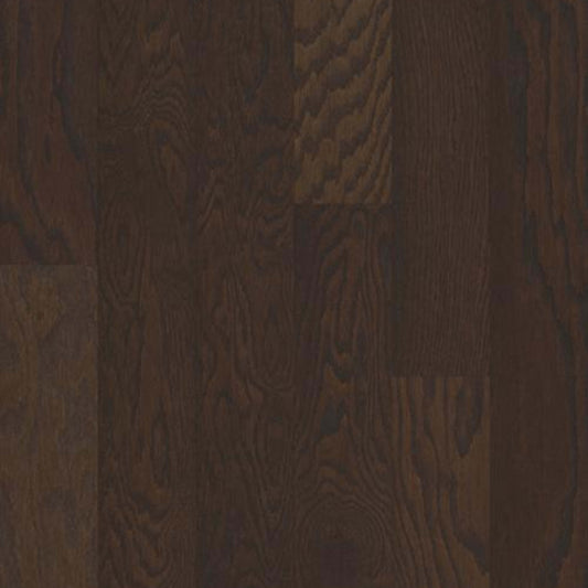 ARDEN OAK 5 in Chocolate Hardwood