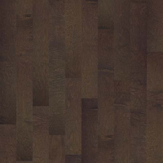 CLEARWATER in Bayfront Hardwood