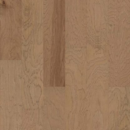 CONTINENTAL in Sunkissed Hardwood