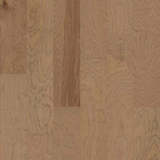 CONTINENTAL in Sunkissed Hardwood